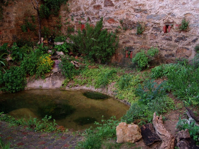 Il Laghetto del Centro di Entomologia - Piombino (LI)